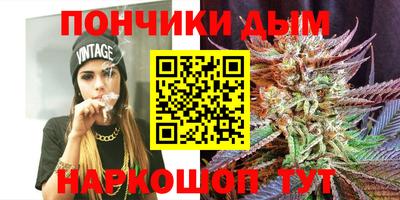 гидропоника Анжеро-Судженск