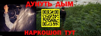 гидропоника Анжеро-Судженск
